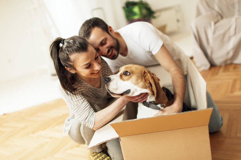 Moving with your Dog this Fathers Day
