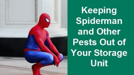 Spiderman and text that reads"keeping Spider Man and other pests out of your storage unit."