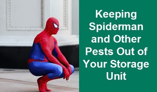 Spiderman and text that reads"keeping Spider Man and other pests out of your storage unit."
