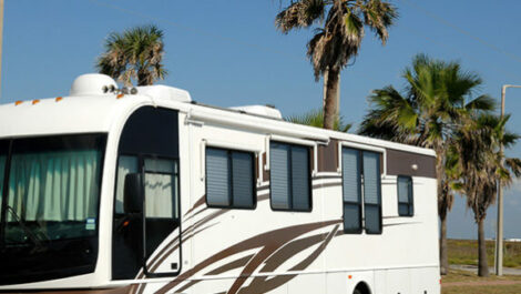 Parked RV near palm trees.