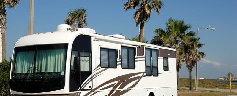 Parked RV near palm trees.