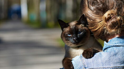 Woman holding her cat on the sidewalk.