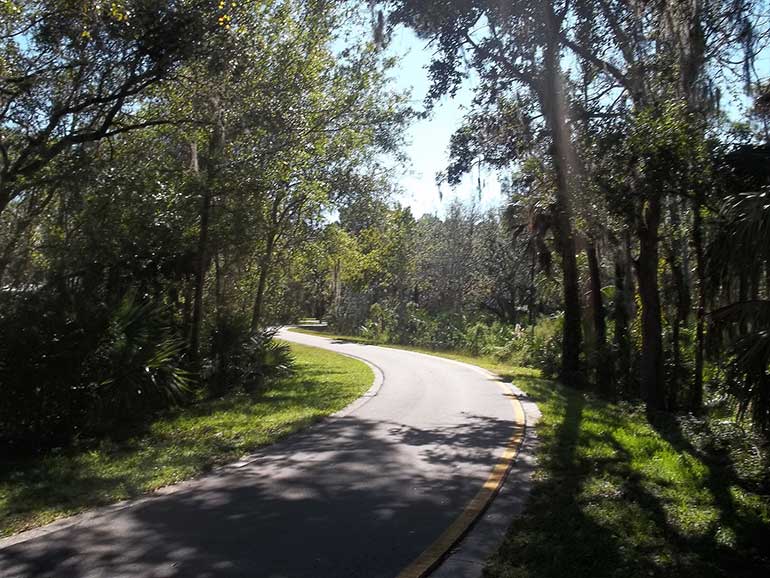 winter-hiking-destinations-in-the-tampa-bay-area-Upper Tampa Bay Park