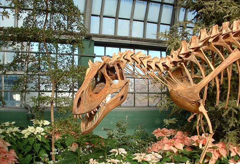 Dinosaur at the Garfield Conservatory in Chicago
