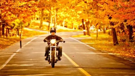 Man riding bike beneath fall leaves.