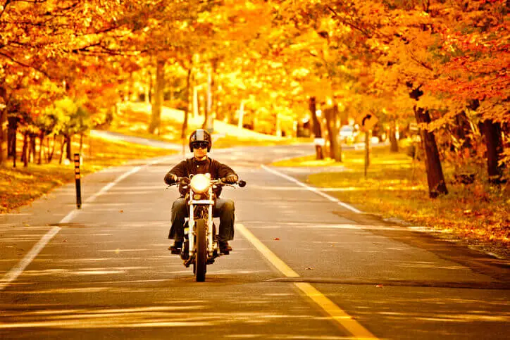 Man riding bike beneath fall leaves.