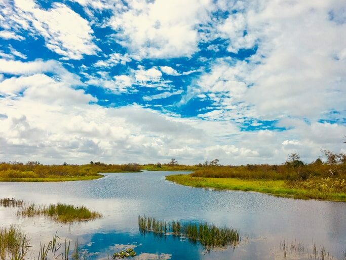 Wide shot of the water at a Spring Hill conservation park