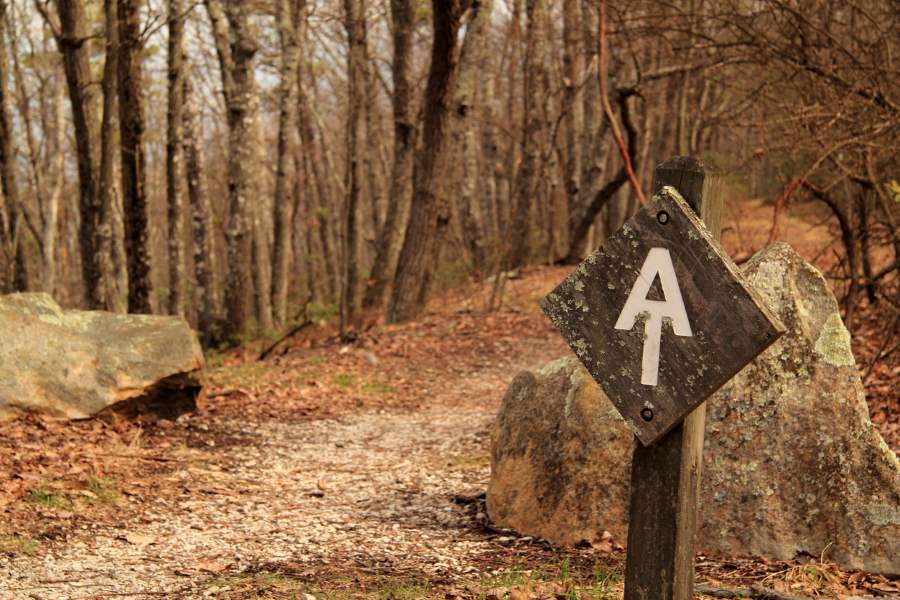 A small sign bears the symbol for the Appalachian trail in a forested area during autumn