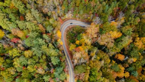 An aerial photograph of a sharp bend in a road surrounded by thick forest