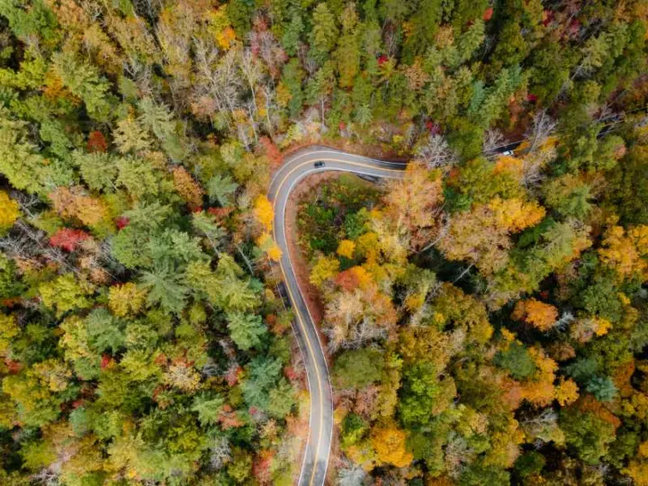 An aerial photograph of a sharp bend in a road surrounded by thick forest