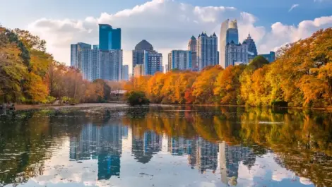 Skyline of Georgia in the fall