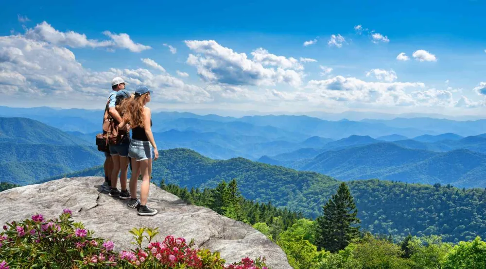A family stands on a high ledge on a mountain, overlooking a vast forest