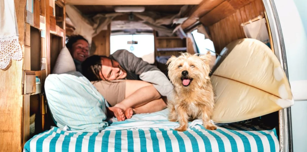 A dog smiling from the back of the RV, with its owners cuddled up in the bed looking outside