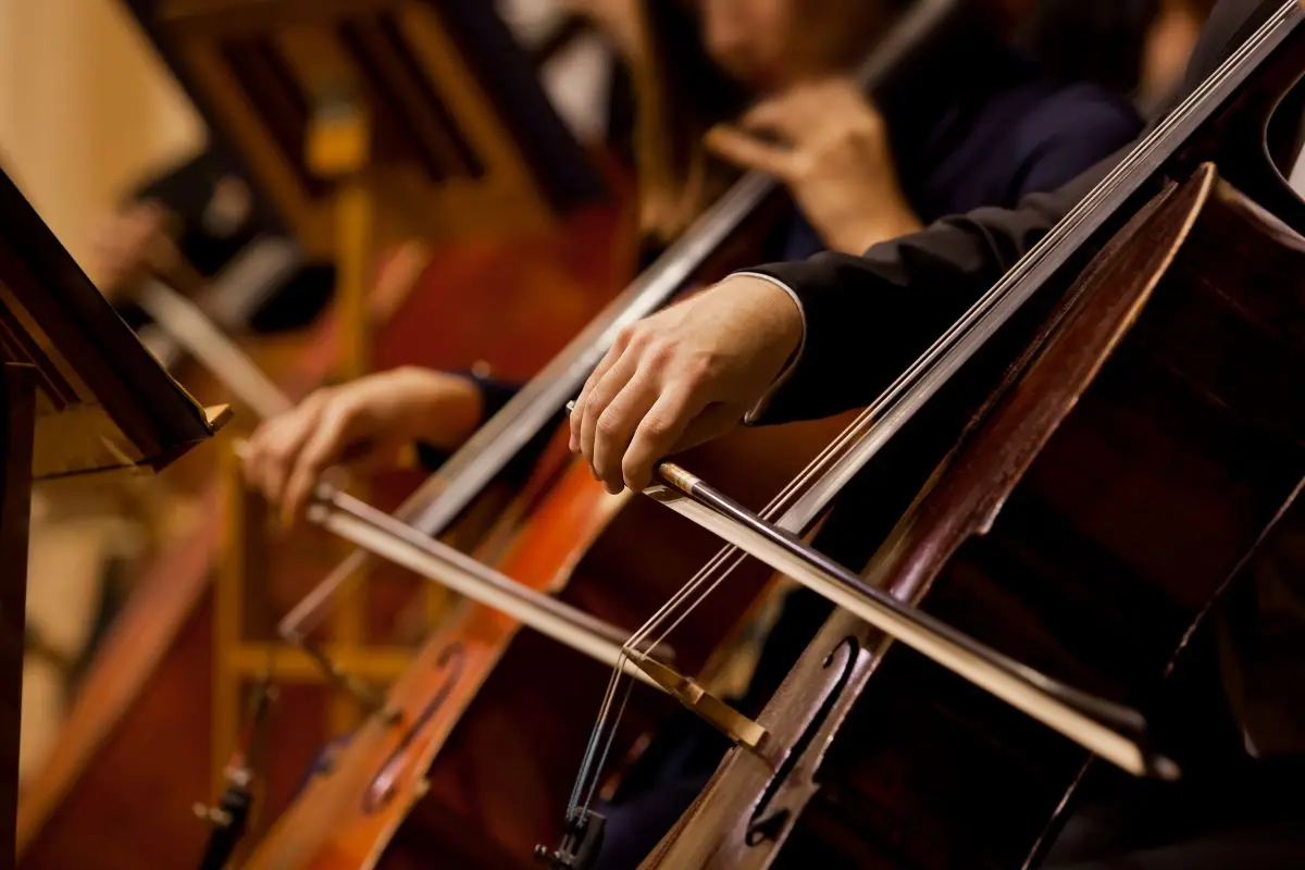 Hands of the man playing the cello