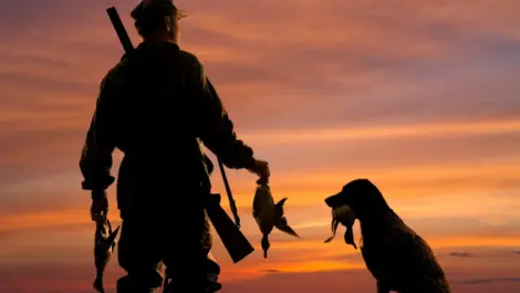 A hunter and his dog holding ducks while watching the sunset.