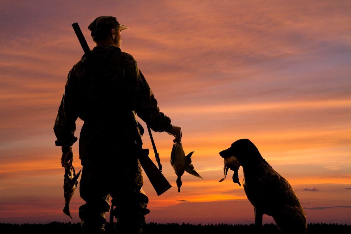 A hunter and his dog holding ducks while watching the sunset.