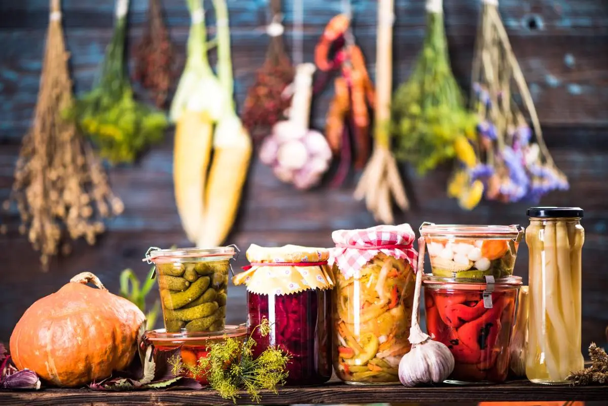  A row of jars holding pickled and fermented goods sits in front of garlic and herbs curing.
